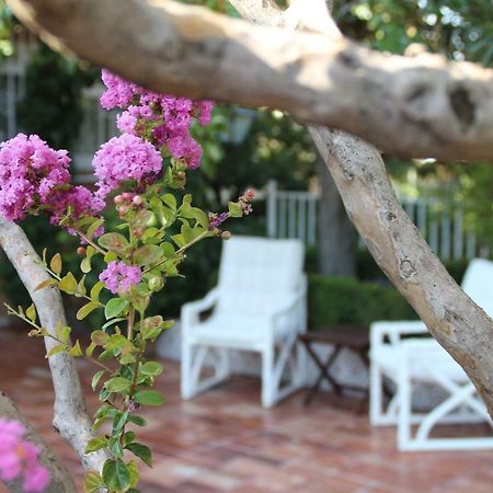 El Jardin De La Abuela Villa Granada Eksteriør bilde