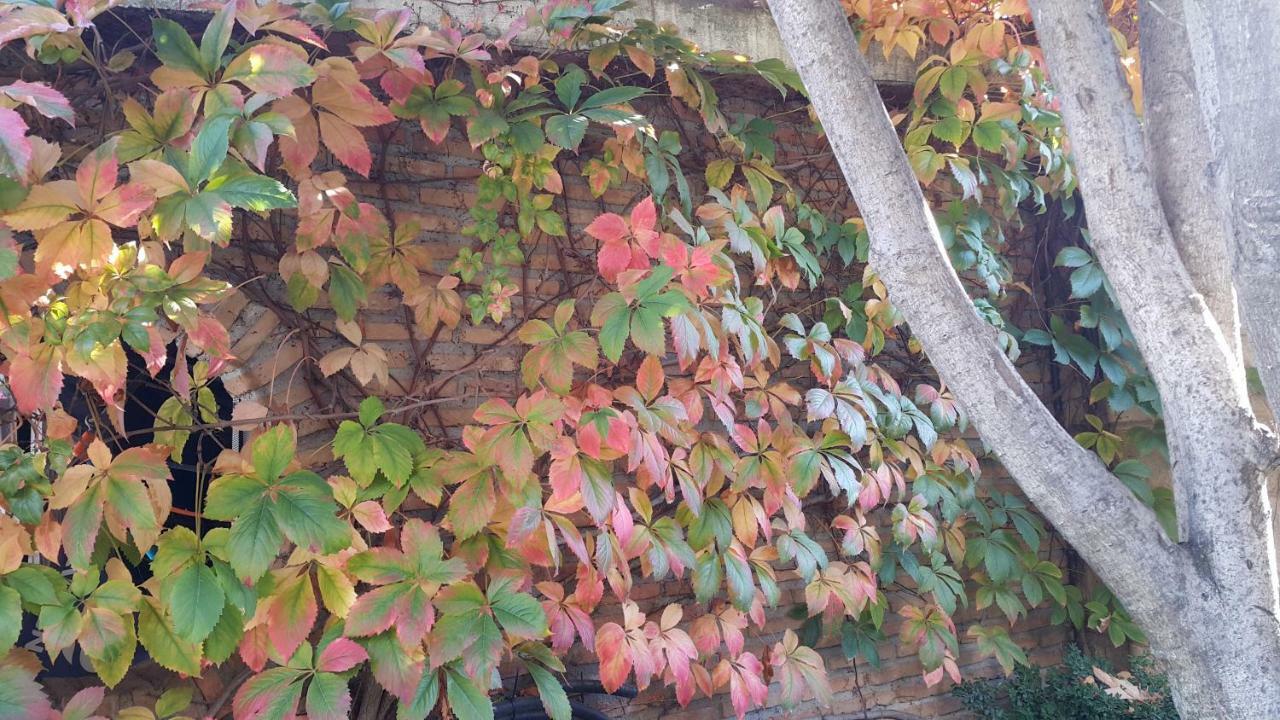 El Jardin De La Abuela Villa Granada Eksteriør bilde