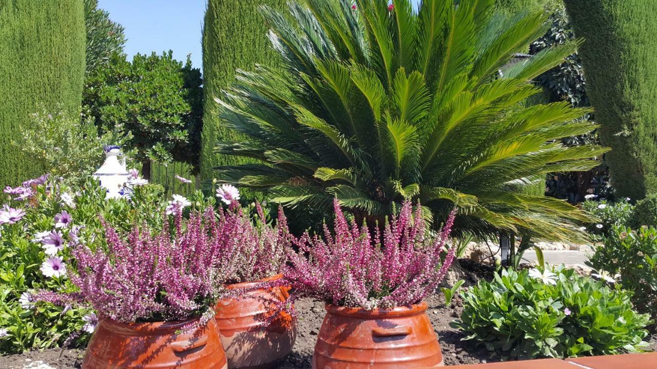 El Jardin De La Abuela Villa Granada Eksteriør bilde