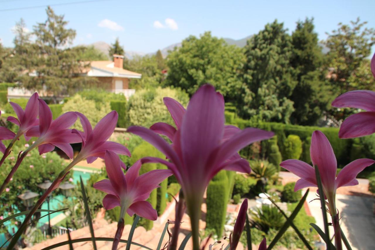 El Jardin De La Abuela Villa Granada Eksteriør bilde