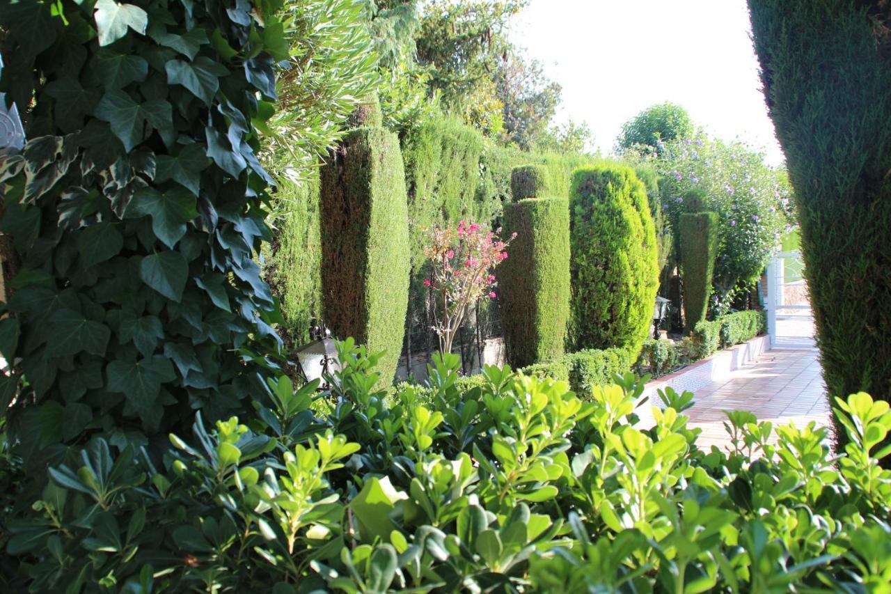 El Jardin De La Abuela Villa Granada Eksteriør bilde