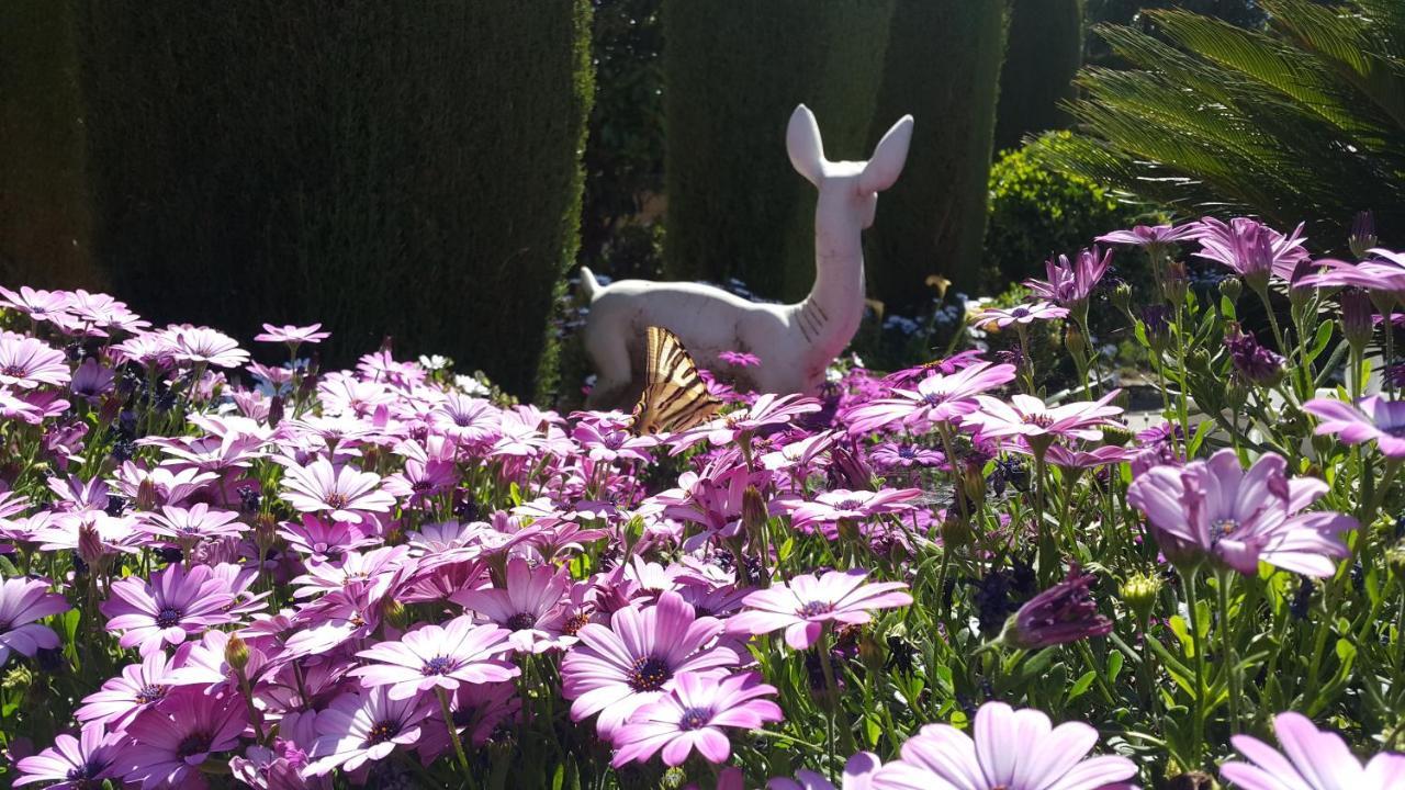 El Jardin De La Abuela Villa Granada Eksteriør bilde